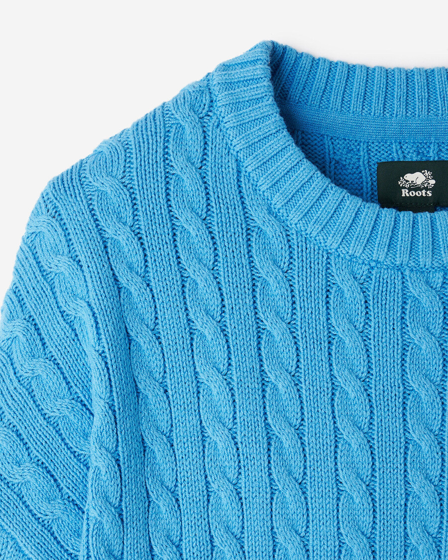 roots cable crew sweater