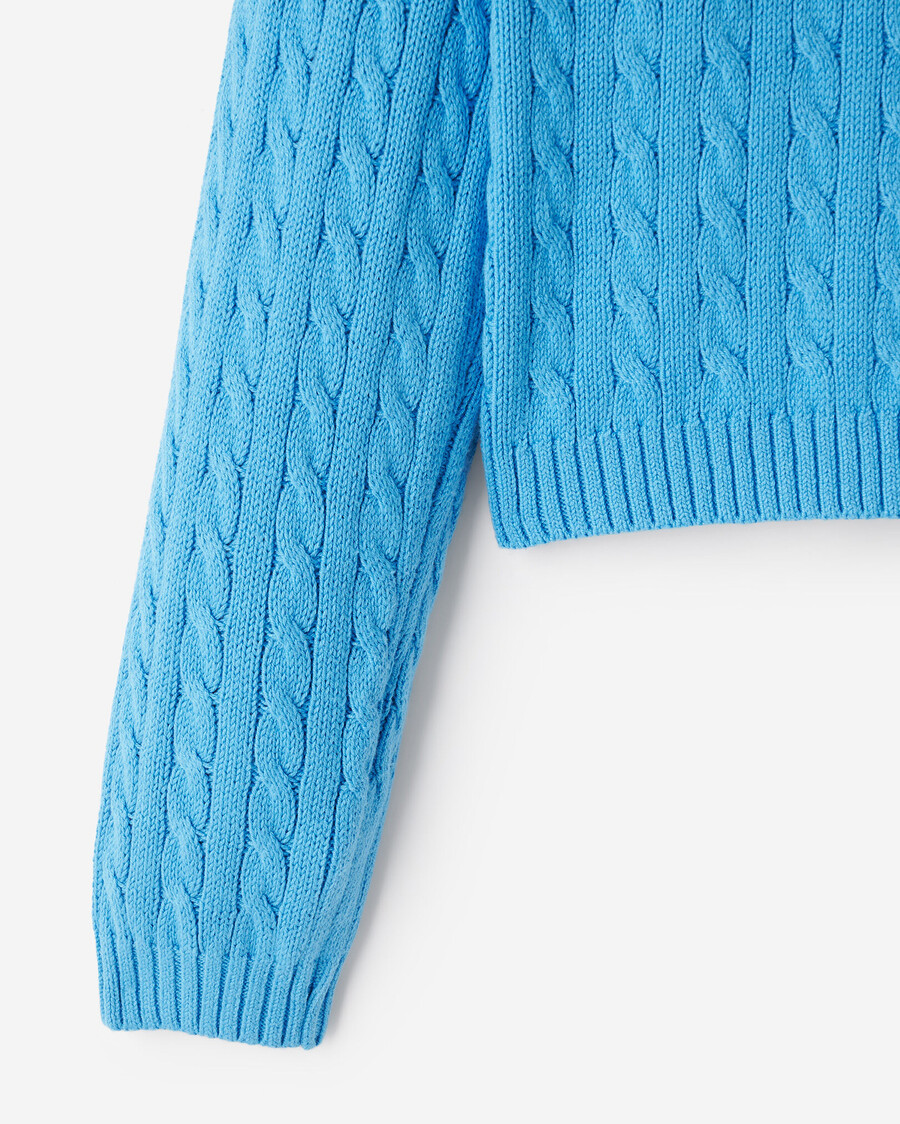 roots cable crew sweater