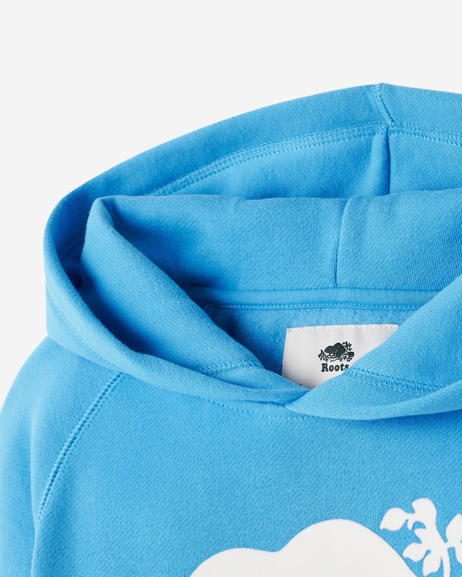 kids organic original kanga hoodie