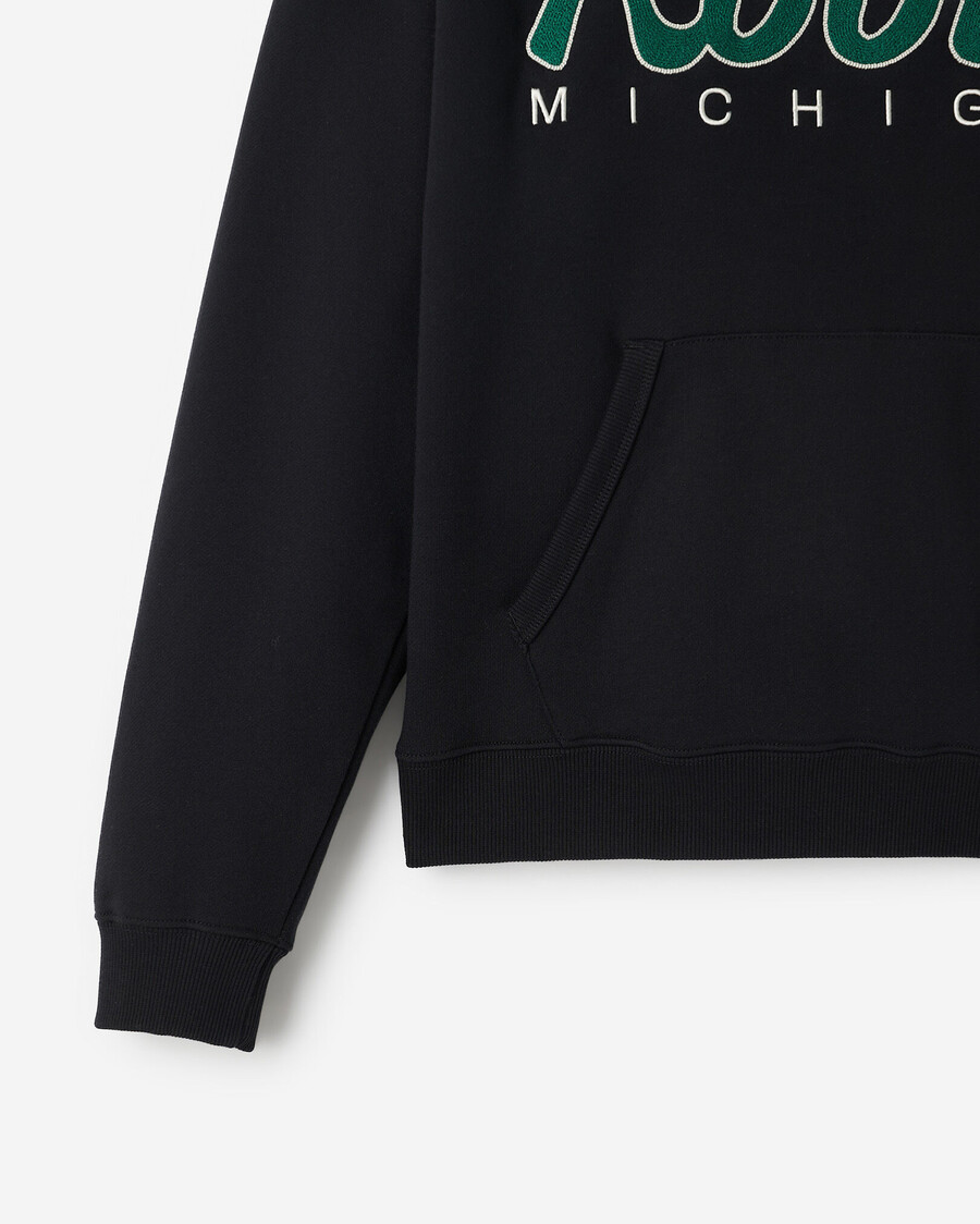 michigan roots local hoodie